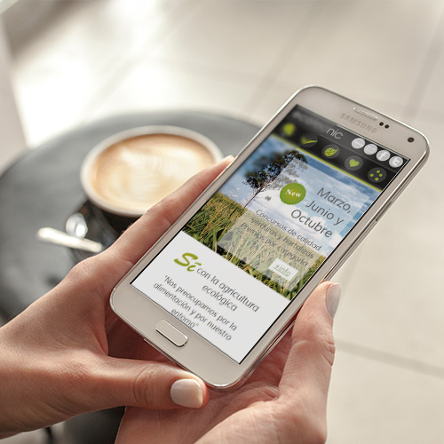 Proyecto diseño web responsive